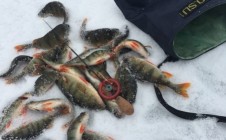 Фото рыбалки в Бутаки 2