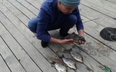 Фото рыбалки в Ушкудык 2