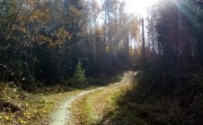 Фото рыбалки в Пьянково, Невьянский городской округ 10