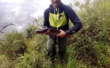 Фото рыбалки в Каменка, Заводоуковский городской округ 2