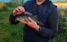 Фото рыбалки в Озёрный, Червенский район 0