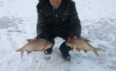 Фото рыбалки в Киевская область 5