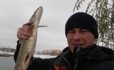 Фото рыбалки в Рощинский, Волжский район 0