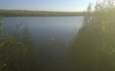 Фото рыбалки в Сибзаводовец-3 2