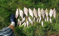 Фото рыбалки в Большереченский район 10