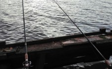 Фото рыбалки в повят Щецин 4