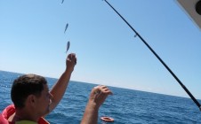 Фото рыбалки в СТ Дорожник 1