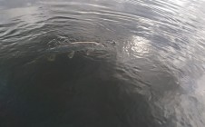 Фото рыбалки в Синицыно 2