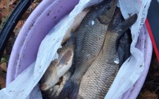 Фото рыбалки в Будча 2