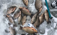 Фото рыбалки в Яковлевский городской округ 1