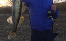 Фото рыбалки в Ягодка, Азовский район 3