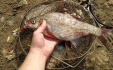 Фото рыбалки в Саратовский район 10